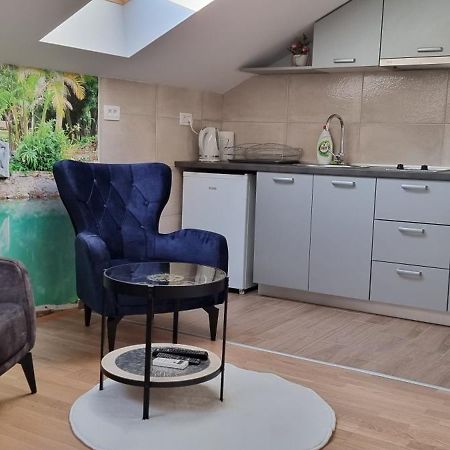 Naki Apartmani Podgorica Buitenkant foto