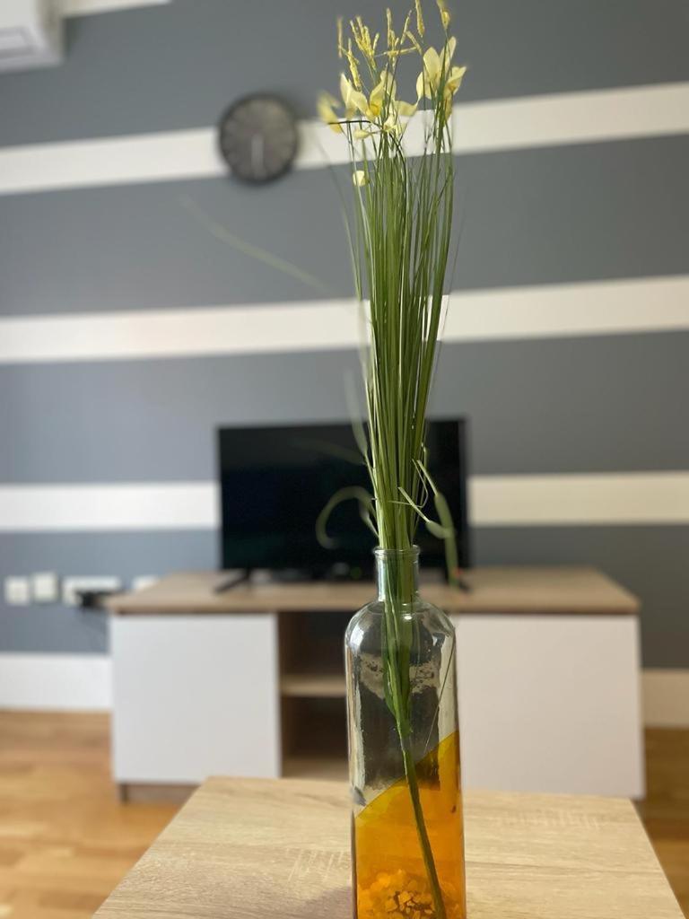 Naki Apartmani Podgorica Kamer foto